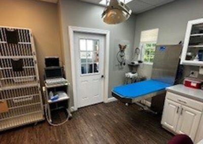 treatment area
